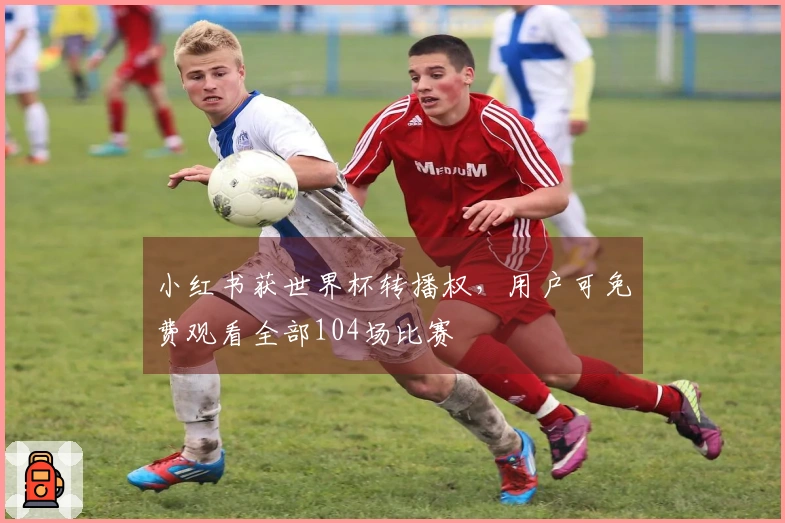 小红书获世界杯转播权，用户可免费观看全部104场比赛